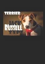 Terrier: Jack Russell Type