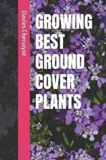 Growing Best Ground Cover Plants