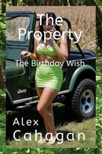 The Property: Part 1 - The Birthday Wish