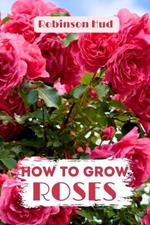 How to Grow Roses: Easy guide to planning, planting and growing a rose flower