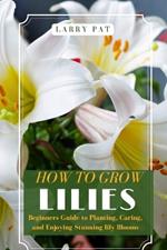 How to Grow Lilies: Beginners Guide to Planting, Caring, and Enjoying Stunning lily Blooms