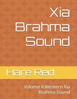 Treasure Hunting Records of the North: Volume II: Western Xia Brahma Sound