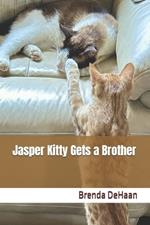 Jasper Kitty Gets a Brother