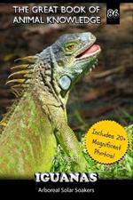 Iguanas: Arboreal Solar Soakers