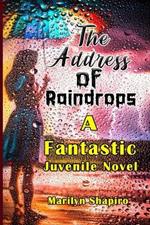 The Address of Raindrops: A Fantastic Juvenile Novel