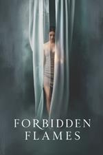 Forbidden Flames: A Journey Through Desire, Deception, and Redemption