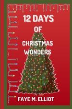 12 days Of Christmas wonders