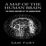 Map of the Human Brain, A