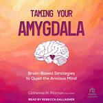 Taming Your Amygdala