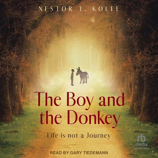 The Boy and the Donkey