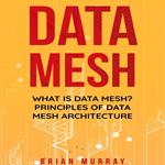 Data Mesh