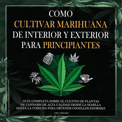 Como cultivar marihuana de interior y exterior para principiantes