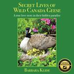 Secret Lives of Wild Canada Geese