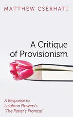 A Critique of Provisionism