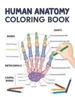 Human Anatomy Coloring Book