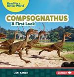 Compsognathus: A First Look