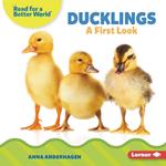 Ducklings: A First Look