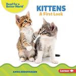 Kittens: A First Look