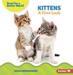 Kittens: A First Look