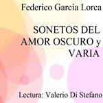 Sonetos del Amor oscuro - Varia