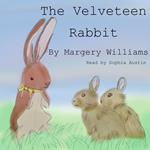 Velveteen Rabbit, The