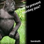 How to prevent monkey pox?