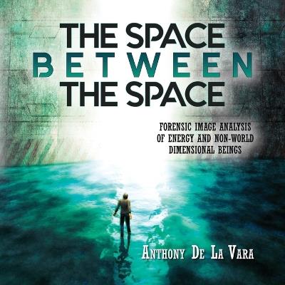 The Space Between the Space: Forensic image analysis of energy and non-World dimensional beings - Anthony de la Vara - cover