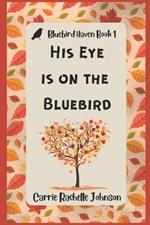 His Eye is on the Bluebird: Bluebird Haven Book 1