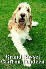Grand Basset Griffon Vendéen: Dog breed overview and guide