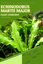 Echinodorus Martii Major: From Novice to Expert. Comprehensive Aquarium Plants Guide
