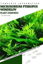 Microsorium Pteropus Windelov: From Novice to Expert. Comprehensive Aquarium Plants Guide