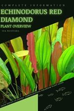 Echinodorus Red Diamond: From Novice to Expert. Comprehensive Aquarium Plants Guide