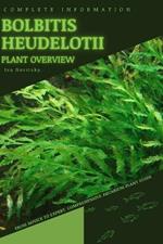 Bolbitis heudelotii: From Novice to Expert. Comprehensive Aquarium Plants Guide