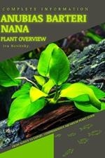 Anubias barteri nana: From Novice to Expert. Comprehensive Aquarium Plants Guide