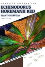 Echinodorus Horemanii Red: From Novice to Expert. Comprehensive Aquarium Plants Guide