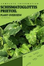 Schismatoglottis prietoil: From Novice to Expert. Comprehensive Aquarium Plants Guide