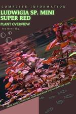Ludwigia sp. Mini Super Red: From Novice to Expert. Comprehensive Aquarium Plants Guide