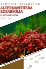 Alternanthera Rosaefolia: From Novice to Expert. Comprehensive Aquarium Plants Guide