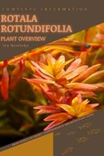 Rotala Rotundifolia: From Novice to Expert. Comprehensive Aquarium Plants Guide