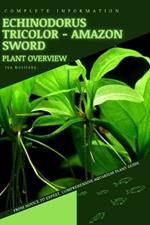 Echinodorus Tricolor - Amazon Sword: From Novice to Expert. Comprehensive Aquarium Plants Guide