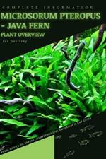 Microsorum Pteropus - Java Fern: From Novice to Expert. Comprehensive Aquarium Plants Guide