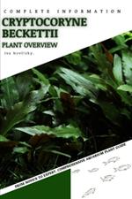 Cryptocoryne Beckettii: From Novice to Expert. Comprehensive Aquarium Plants Guide