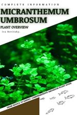 Micranthemum Umbrosum: From Novice to Expert. Comprehensive Aquarium Plants Guide