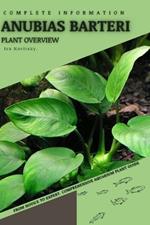 Anubias Barteri: From Novice to Expert. Comprehensive Aquarium Plants Guide