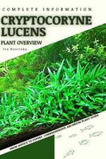 Cryptocoryne Lucens: From Novice to Expert. Comprehensive Aquarium Plants Guide