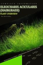 Eleocharis Acicularis (Hairgrass): From Novice to Expert. Comprehensive Aquarium Plants Guide