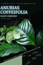 Anubias Coffeifolia: From Novice to Expert. Comprehensive Aquarium Plants Guide