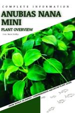 Anubias Nana Mini: From Novice to Expert. Comprehensive Aquarium Plants Guide