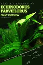 Echinodorus parviflorus: From Novice to Expert. Comprehensive Aquarium Plants Guide