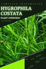 Hygrophila Costata: From Novice to Expert. Comprehensive Aquarium Plants Guide